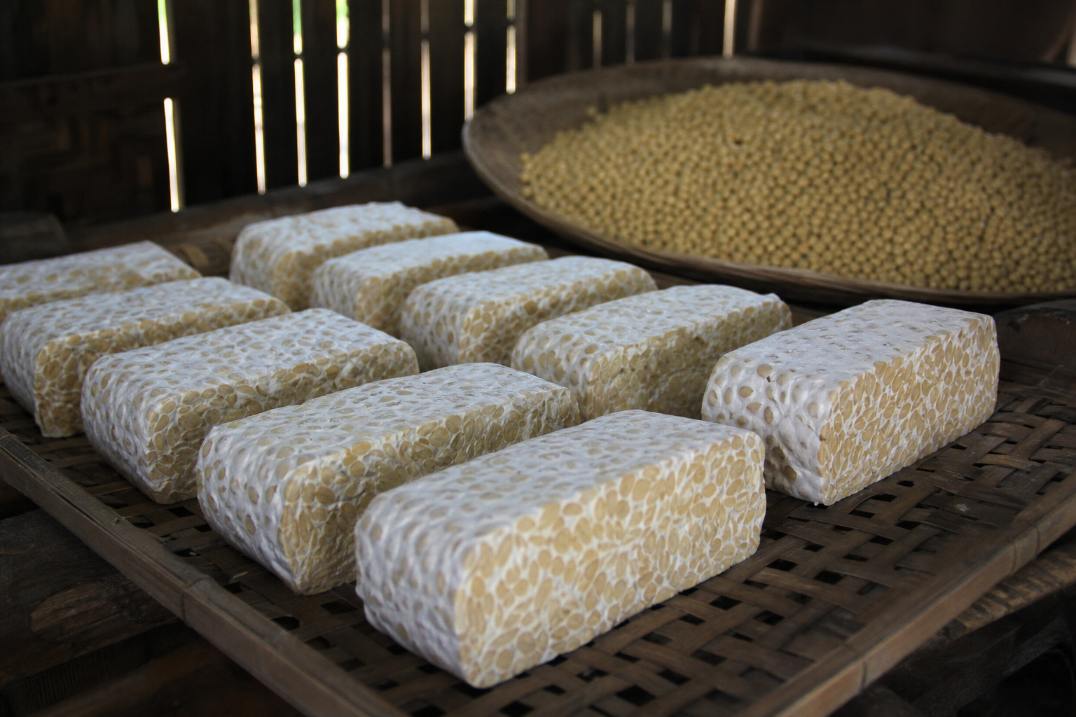 Proses fermentasi tempe di Indonesia, menunjukkan budaya pangan lokal.